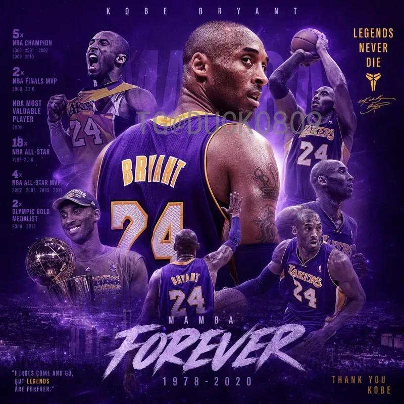 2026世界杯的名字：从联合主办到全球盛事的命名解析